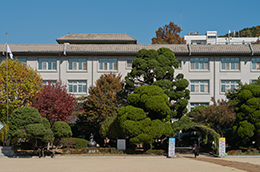매산초등학교 전경 사진